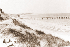 picture-250sepia-1